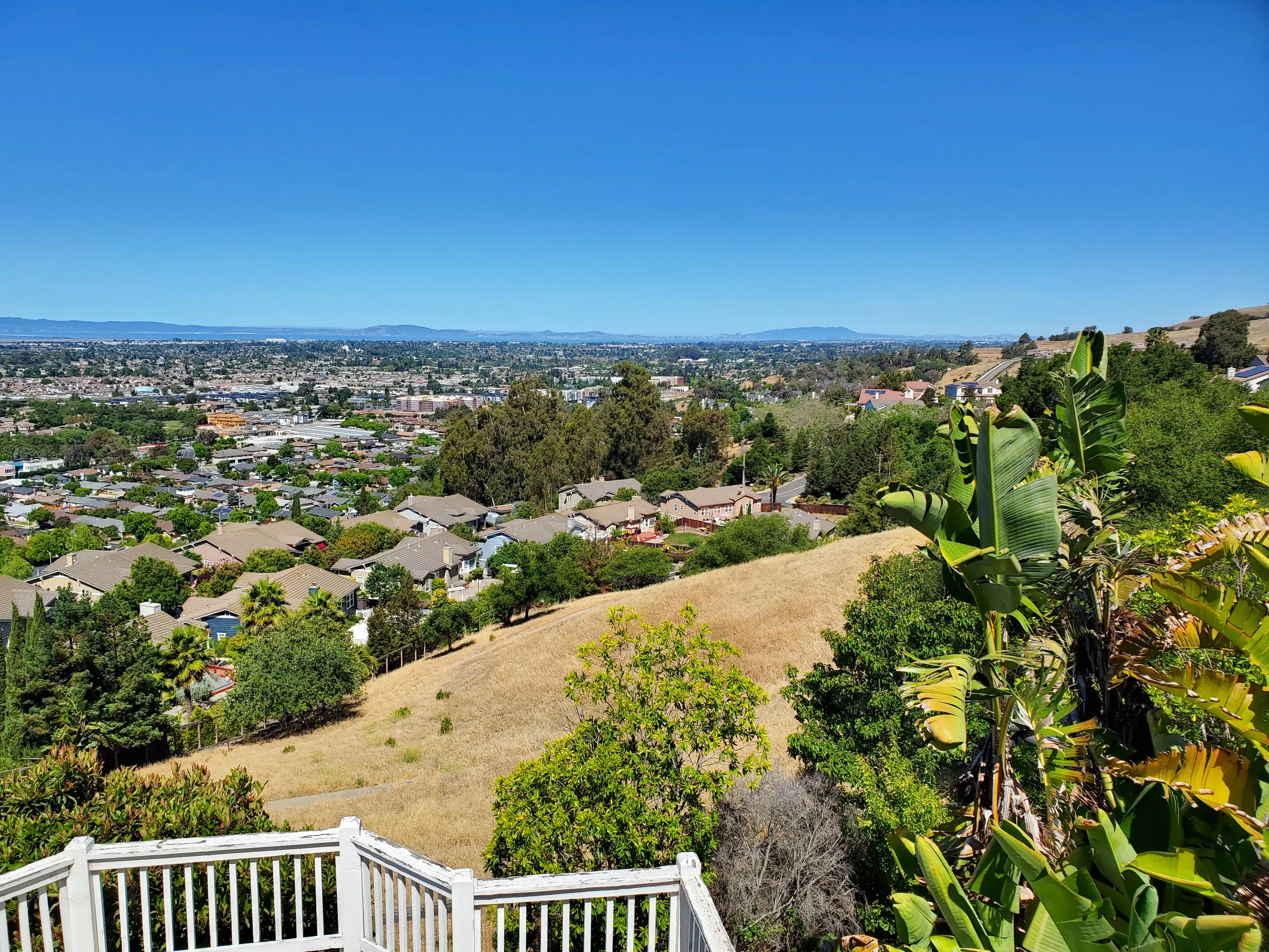 View from Skylark Ct